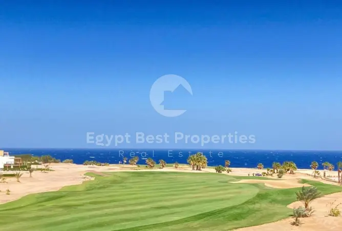 115717481 - Property Image 2