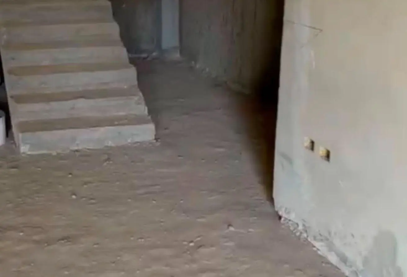 91572562 - الصورة الرئيسية للعقار