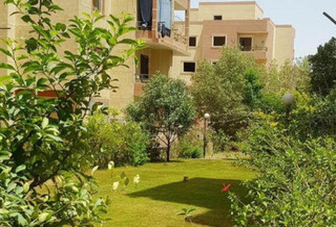 62406148 - Property Image 3