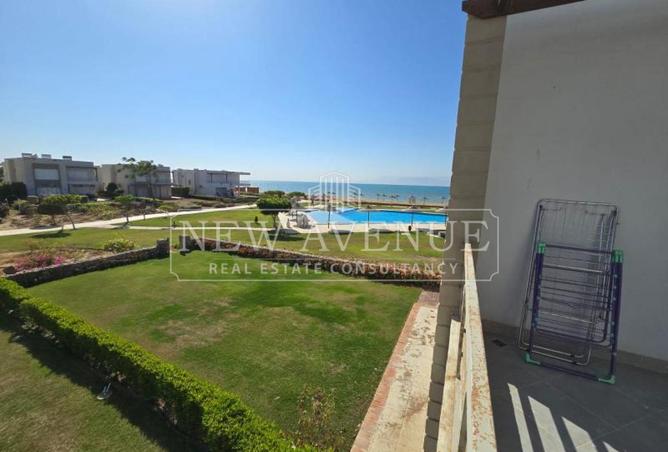 75951045 - Property Image 3