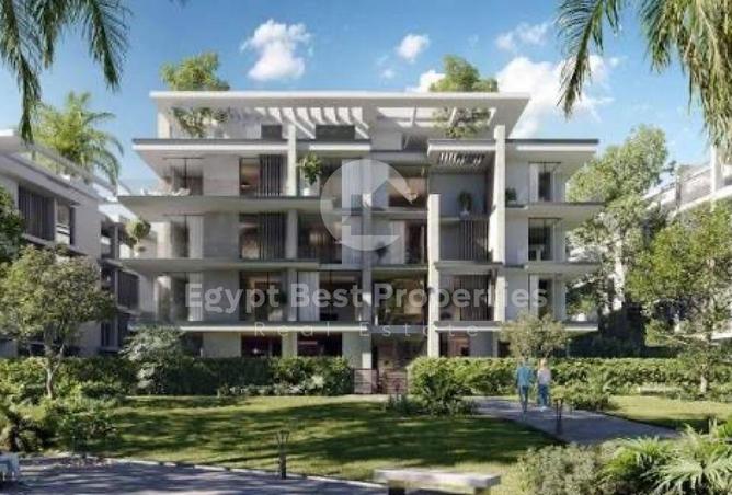 58253875 - Property Image 2