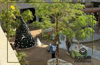 Shop - Studio for rent in Walk of Cairo - Sheikh Zayed Compounds - Sheikh Zayed City - Giza