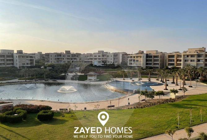 53469806 - Property Image 2