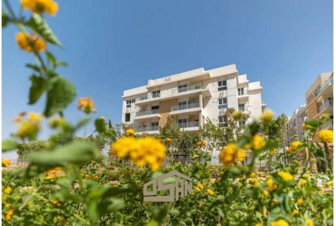 54246932 - Property Image 2