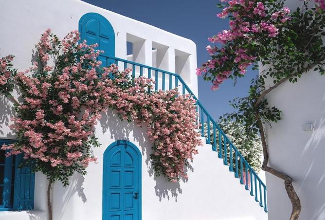 65164492 - صورة العقار 2