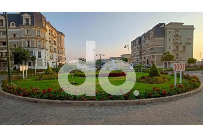 97437195 - Property Image 3