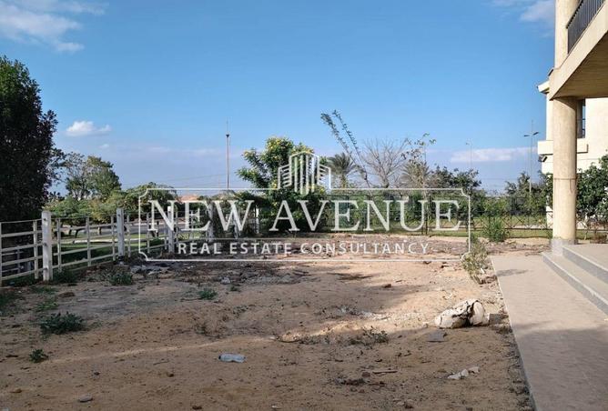 64140625 - Property Image 2