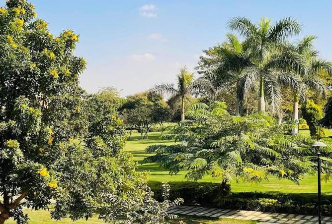 67218043 - Property Image 2