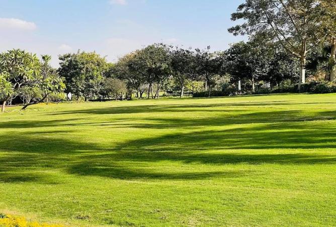 67218043 - Property Image 3