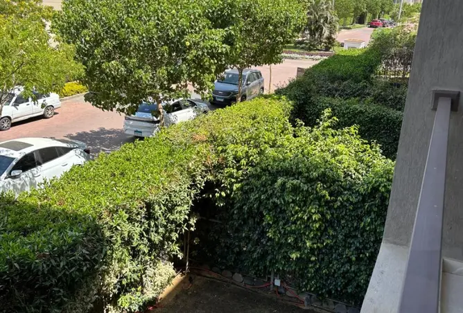 119336483 - Property Image 3