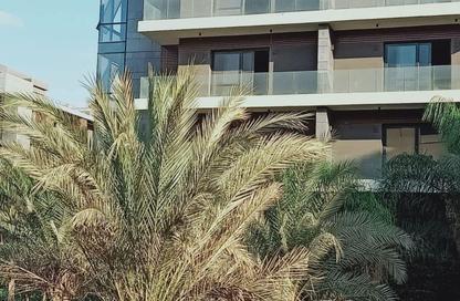 Apartment - 3 Bedrooms - 2 Bathrooms for sale in El Patio Oro - 5th Settlement Compounds - The 5th Settlement - New Cairo City - Cairo
