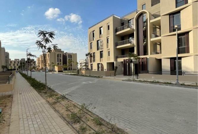 8689199 - Property Image 3