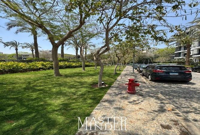 85335253 - Property Image 3