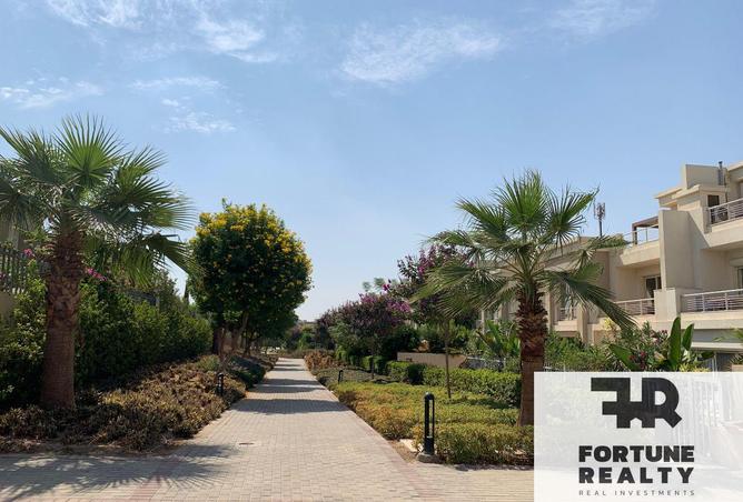 66969501 - Property Image 2