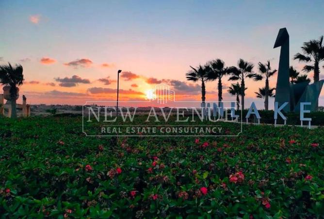 107687292 - Property Image 3