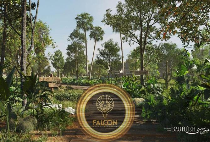 70097010 - Property Image 2