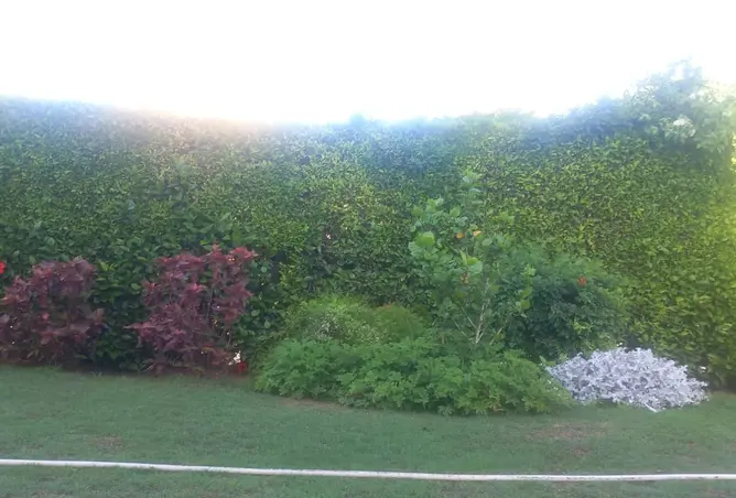 112979302 - Property Image 3