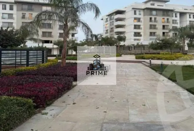 105164790 - Property Image 3