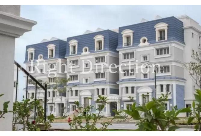 53727210 - Property Image 3