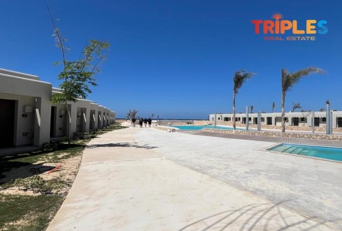 8517050 - صورة العقار 3