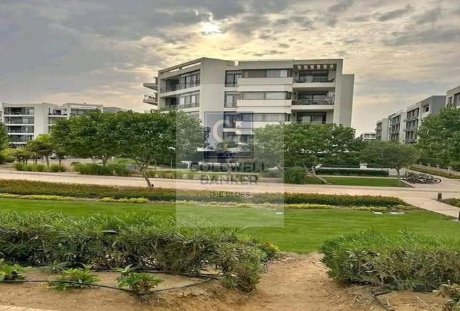 107974621 - صورة العقار 3