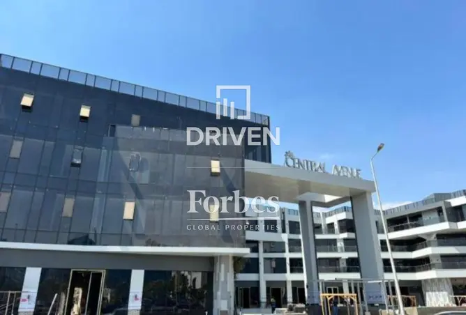 113816536 - Property Image 3