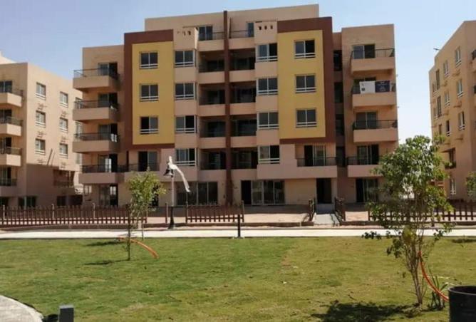 55506067 - صورة العقار 3