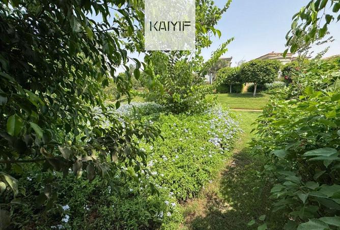 73231707 - Property Image 2