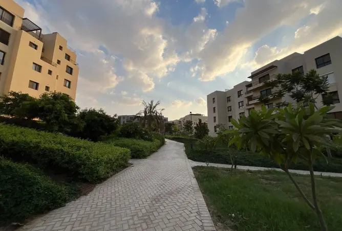 115443101 - صورة العقار 2