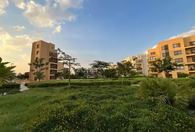 115443101 - صورة العقار 3