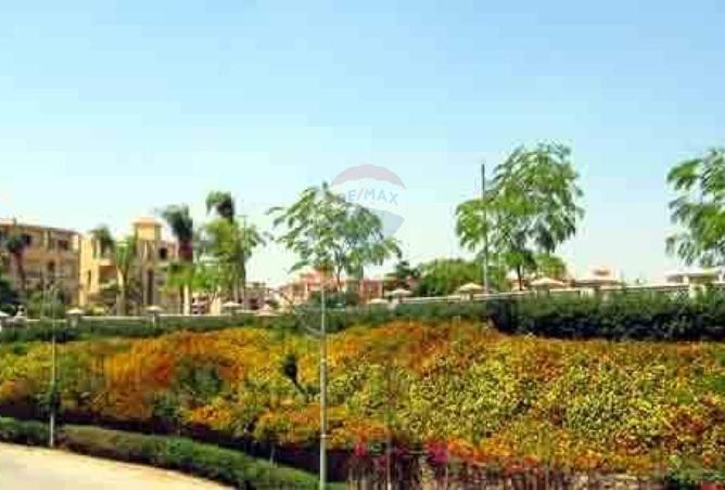 8667632 - صورة العقار 3