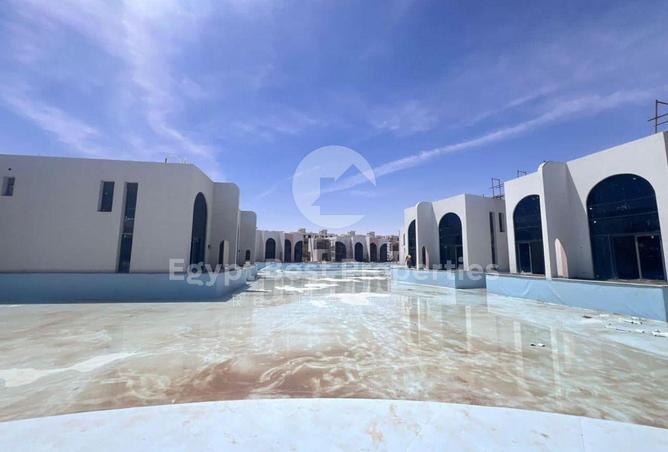 104886595 - صورة العقار 3
