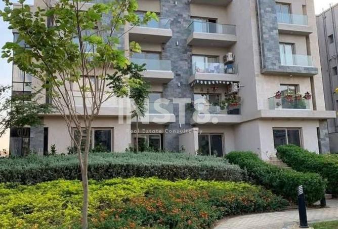 8488346 - Property Image 3