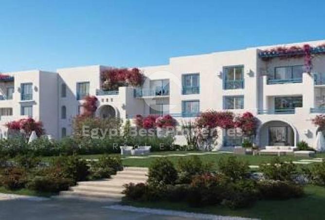 99405179 - Property Image 3