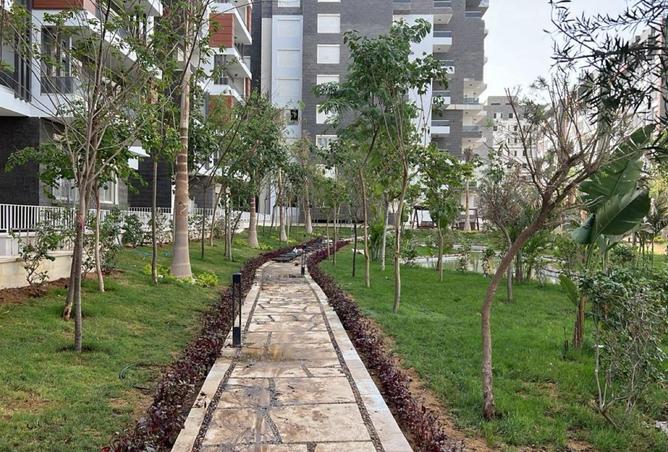 72176665 - Property Image 3
