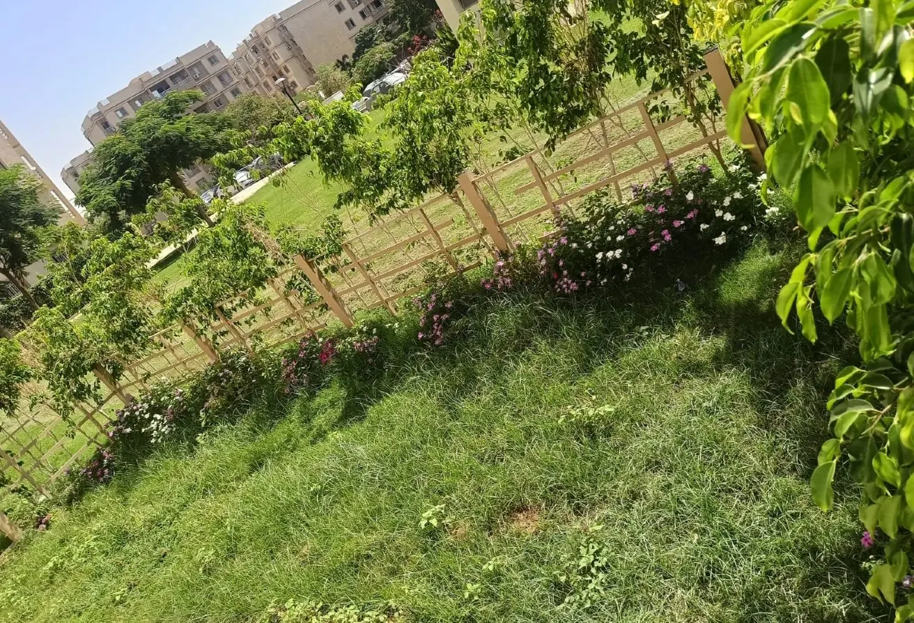 116745978 - الصورة الرئيسية للعقار