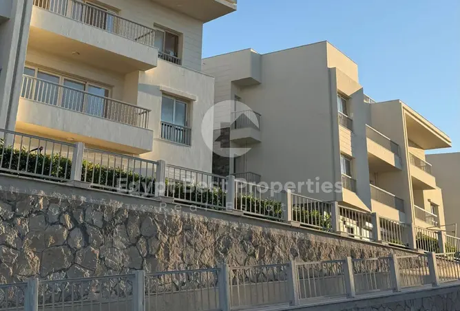 113263358 - Property Image 3