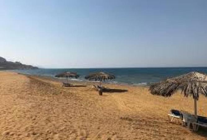 66695986 - الصورة الرئيسية للعقار