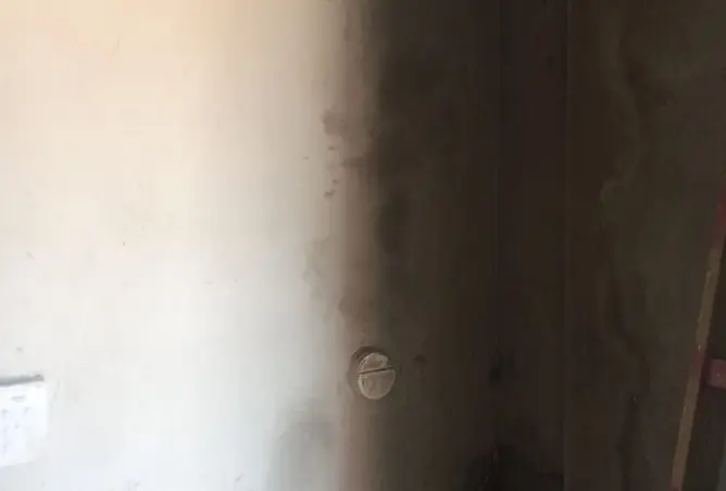 115174268 - Property Image 3