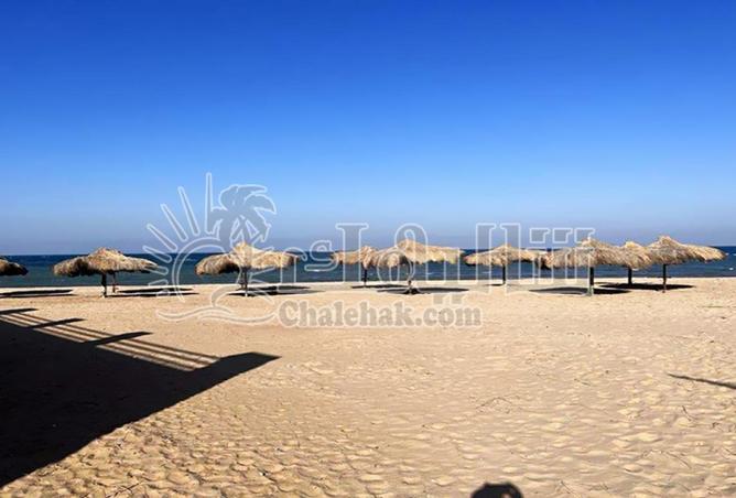 57244974 - Property Image 3