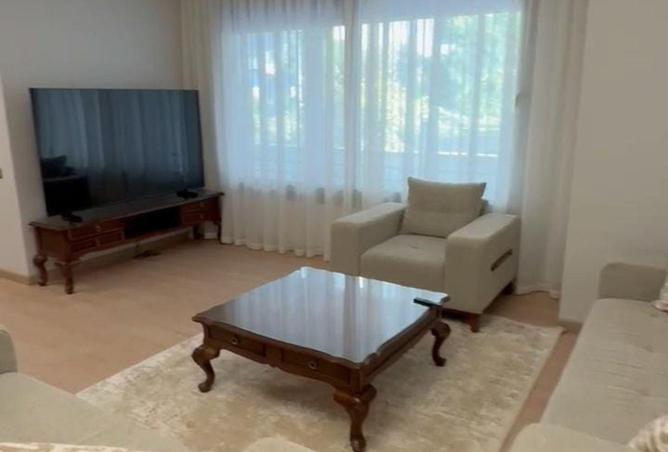 58256272 - Property Image 2