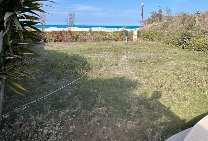 58735735 - Property Main Image