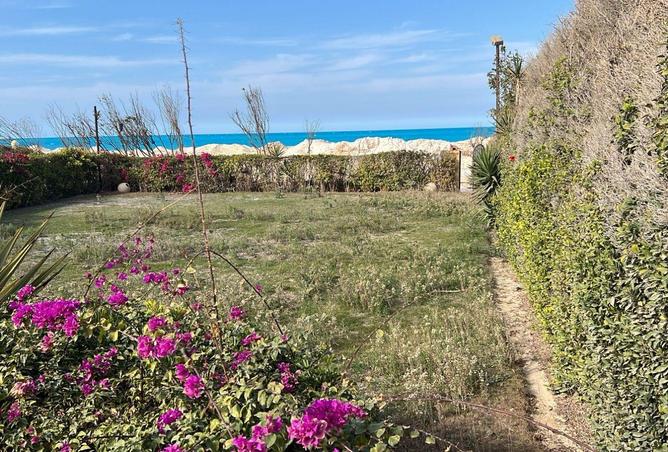 58735735 - Property Image 2