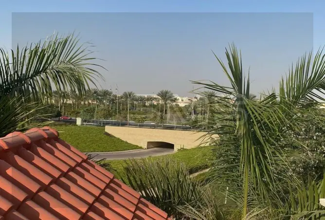 118552034 - Property Image 2
