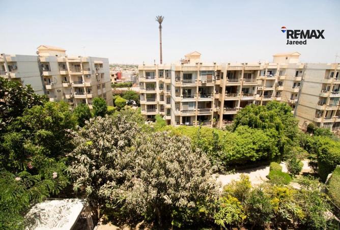 8455396 - Property Image 3