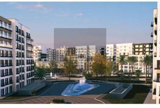 53725284 - Property Image 2