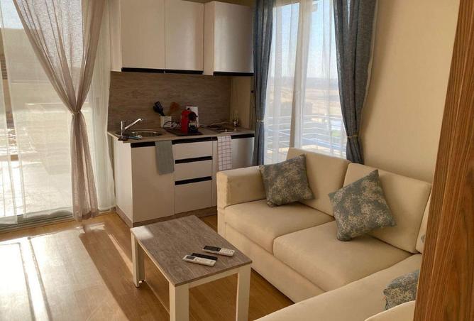 8671591 - Property Image 3