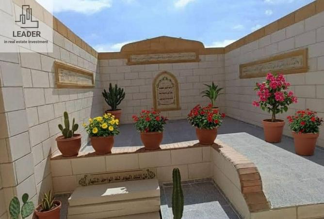 97430997 - صورة العقار 3