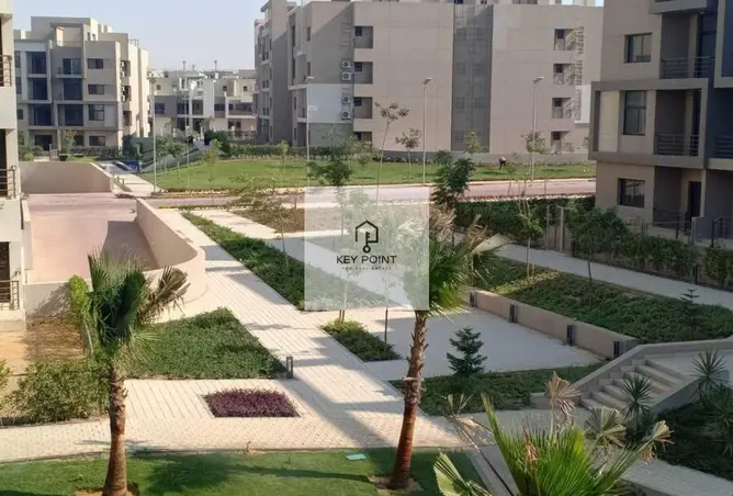 83142843 - Property Image 3