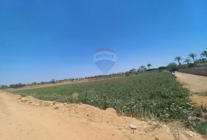 79997538 - صورة العقار 2